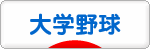 にほんブログ村 野球ブログ 大学野球へ